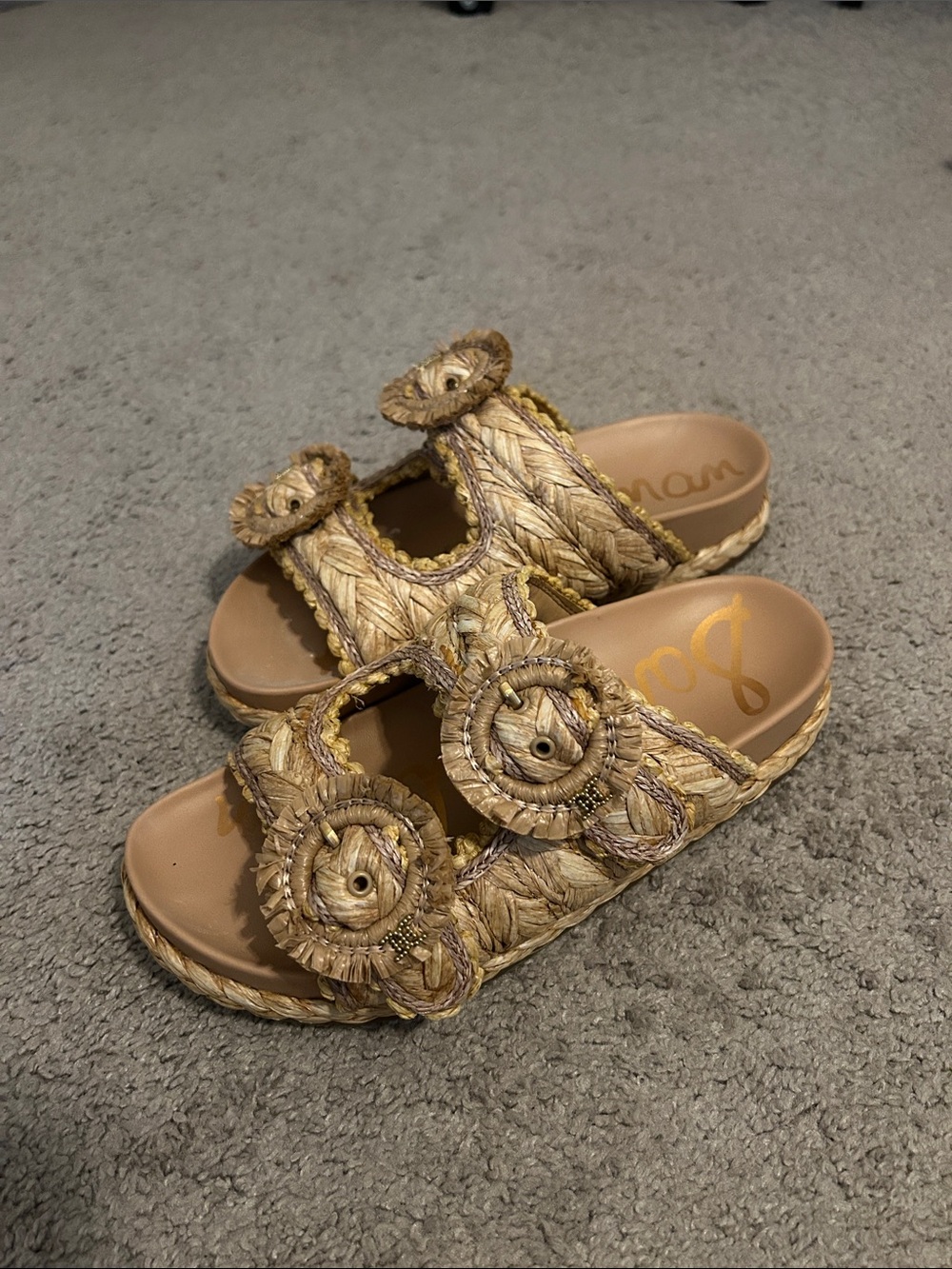 Sam Edelman Beechwood Multi Reina Sandals